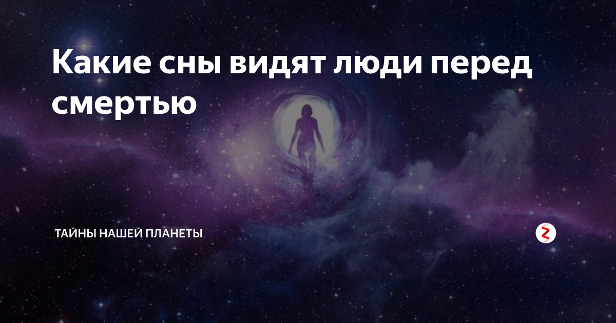 Какие сны видят люди перед смертью. Sleeps society. Сны людей перед смертью. Сны человека перед смертью. Что снится человеку перед смертью.