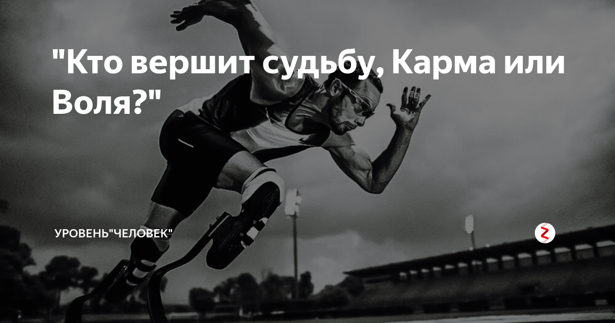 Вершить над судьбами. Вершить над судьбами