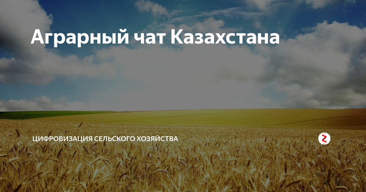 Казахстан: наличие секс-работы на государственном уровне не признают