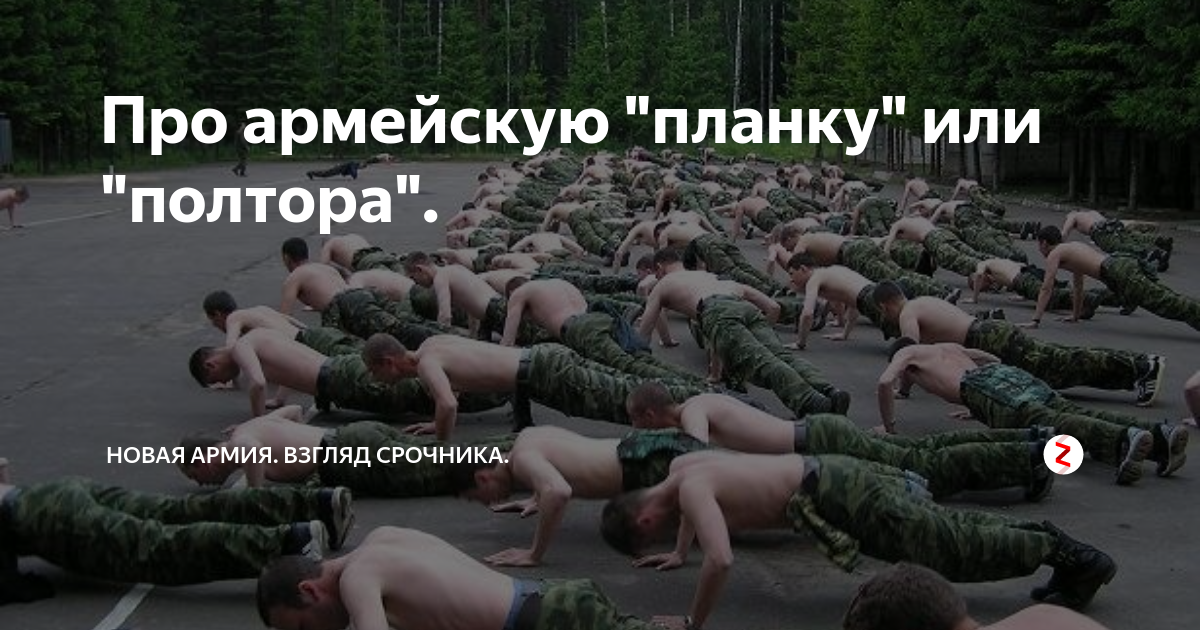 Пресс братским хватом. Встать в полтора. Военные отжимания. Встать в полтора. Встать в полтора.