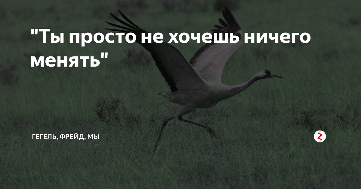 Ничего не изменять