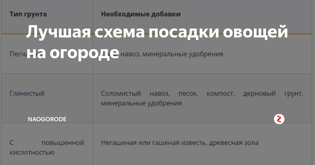 Лучшая схема посадки овощей на огороде | Naogorode | Дзен