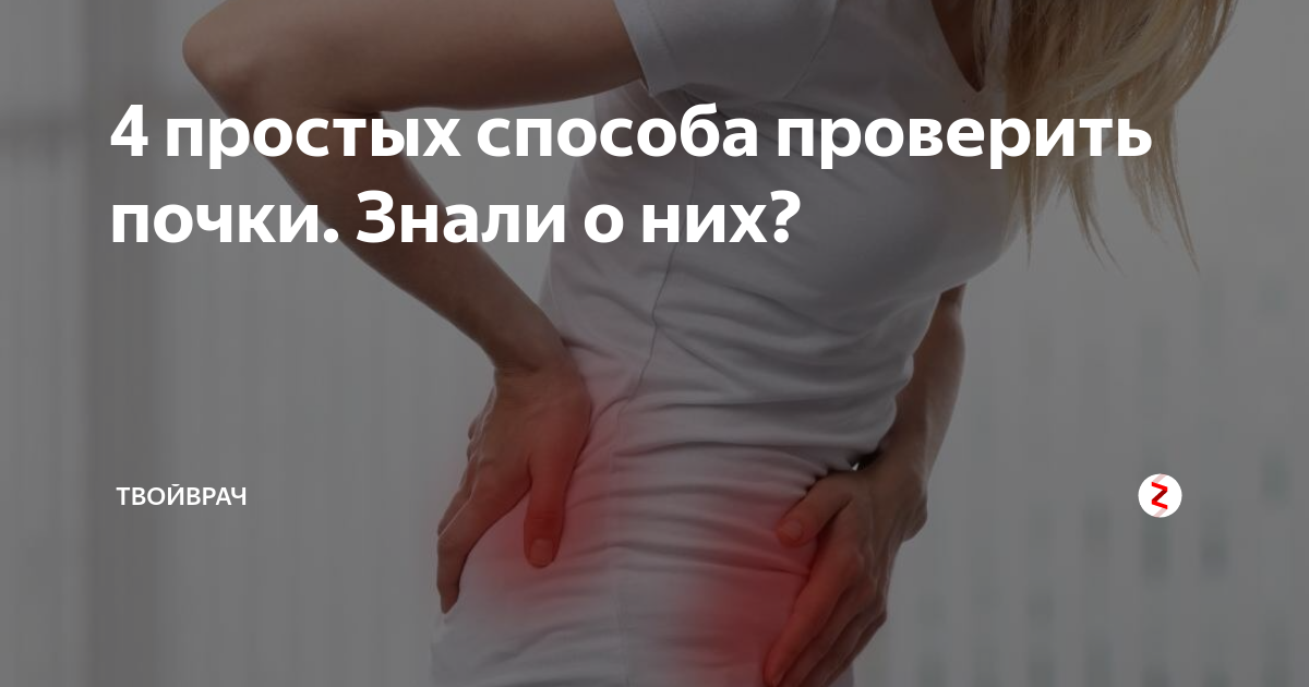 Как проверить почки. Как проверить почки в домашних. Как проверить почки в домашних условиях. Проверяем почки в домашних условиях