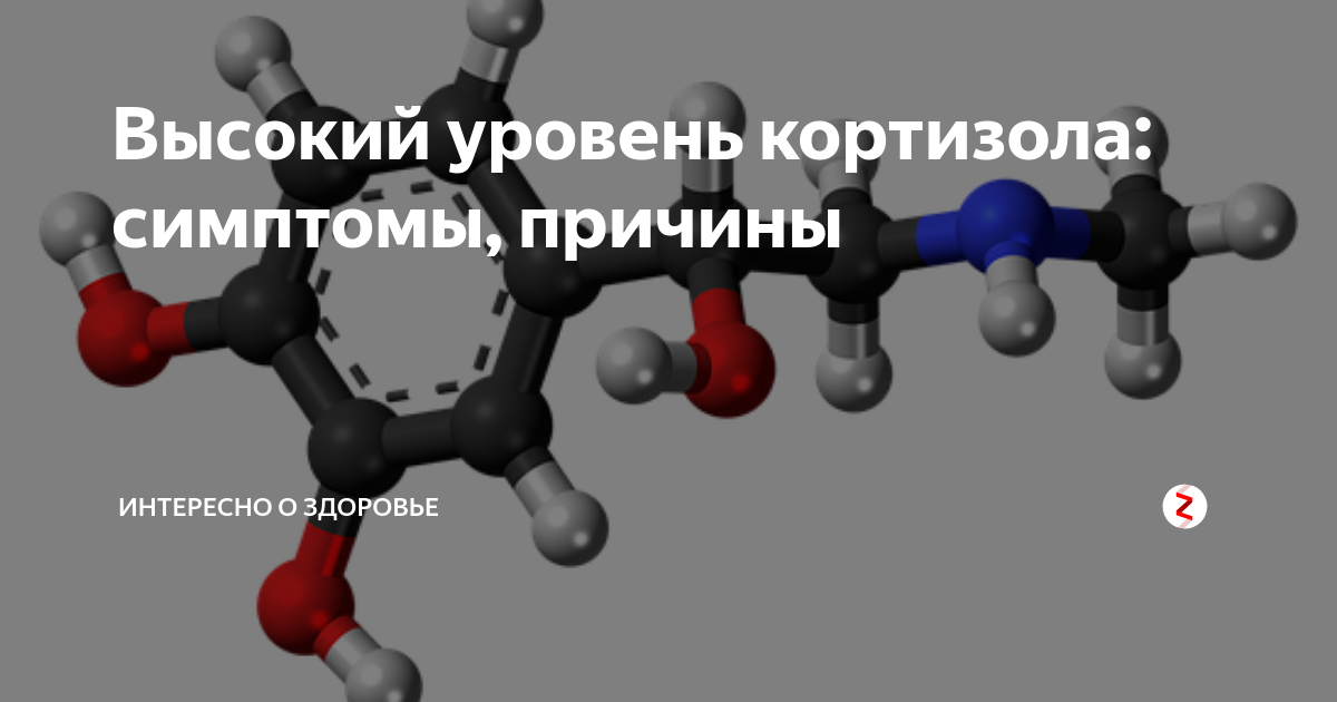 Адреналин и кортизол. Кортизол адреналин норадреналин. Кортизол и адреналин взаимодействие. Кортизол интересные факты. Адреналин и кортизол реакция.