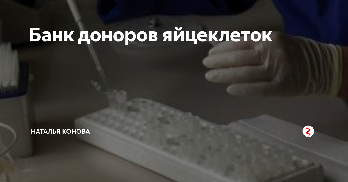 Банк доноров яйцеклеток с фото Банк доноров яйцеклеток Наталья Конова Дзен