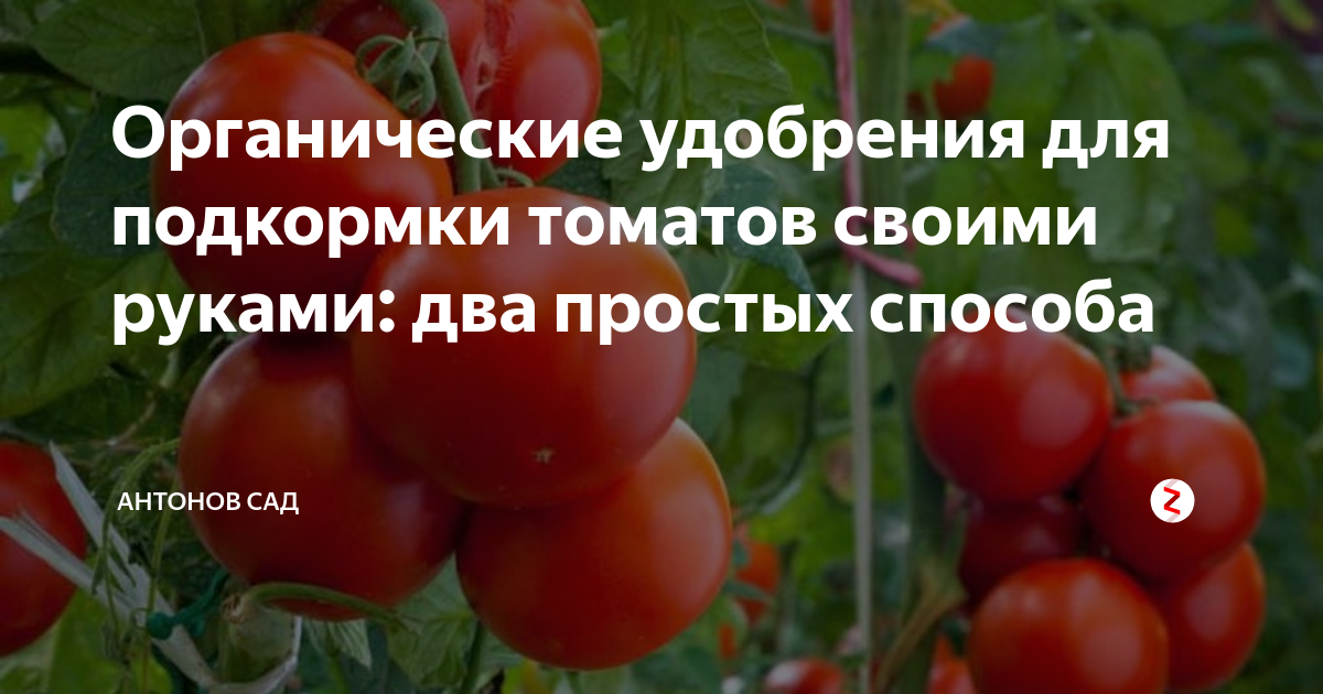 Удобрения купить