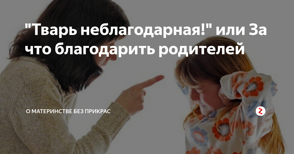 Ты неблагодарная. Тварь неблагодарная. Я тебя накормлю. Неблагодарный мем. Цитаты про неблагодарных тварей.