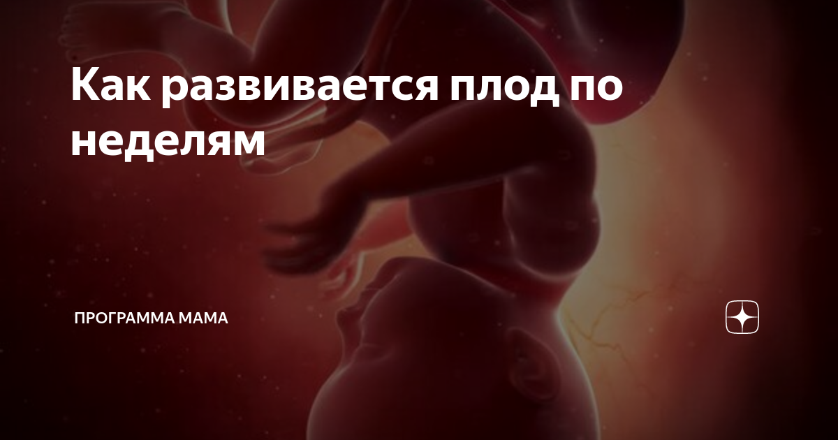 Счастливого Хэллоуина Девушка вампир Сосёт член и глотаем сперму - pornness.ru