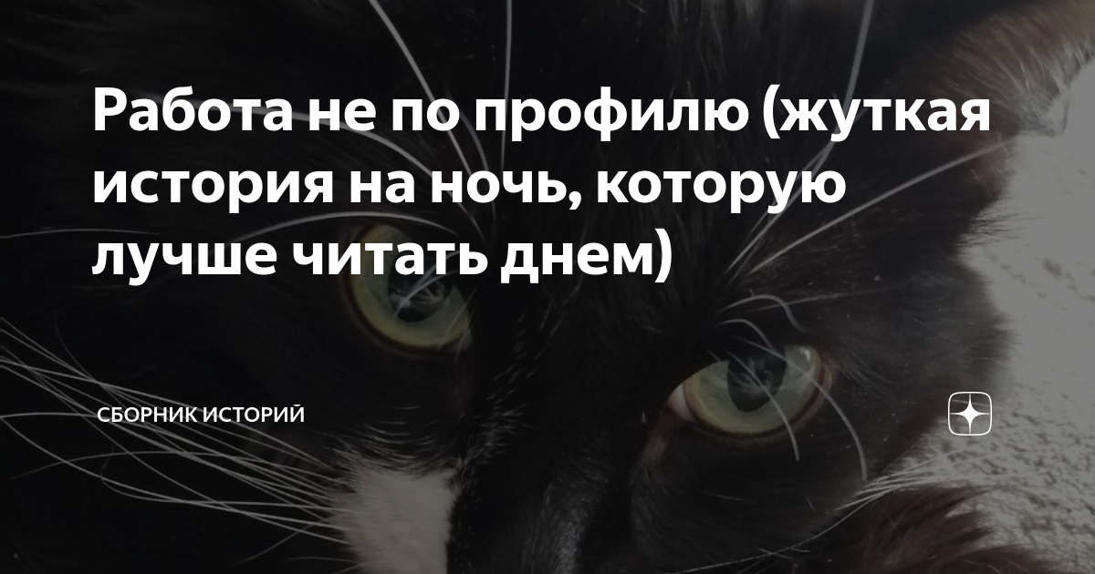 Истории на ночь кот. Истории на ночь кот