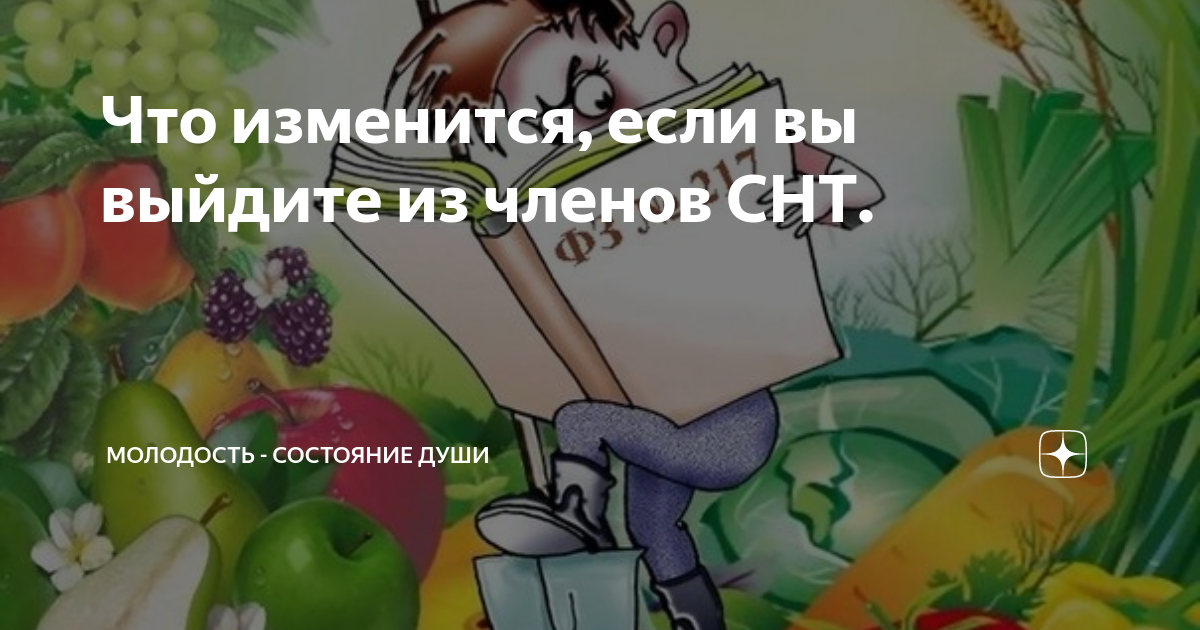 Что изменится, если вы выйдите из членов СНТ. | Молодость - состояние ...