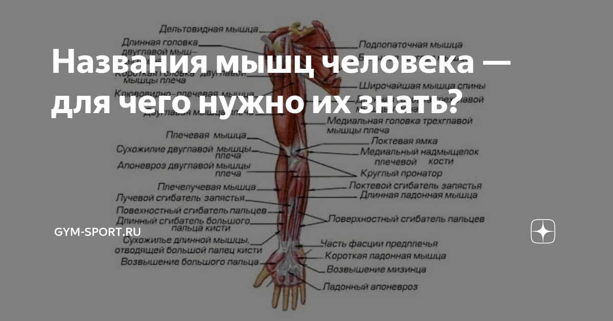 1.5. Правильная настройка стола при работе за компьютером