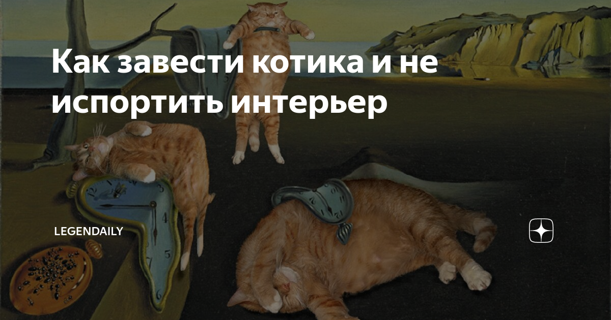 Как закрепить кошачий лоток на полу