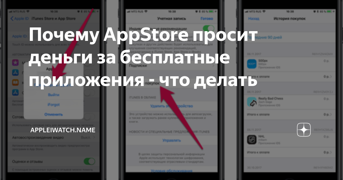 Как работают платные подписки в AppStore. Часто задаваемые вопросы и ответы — Sinko Apps