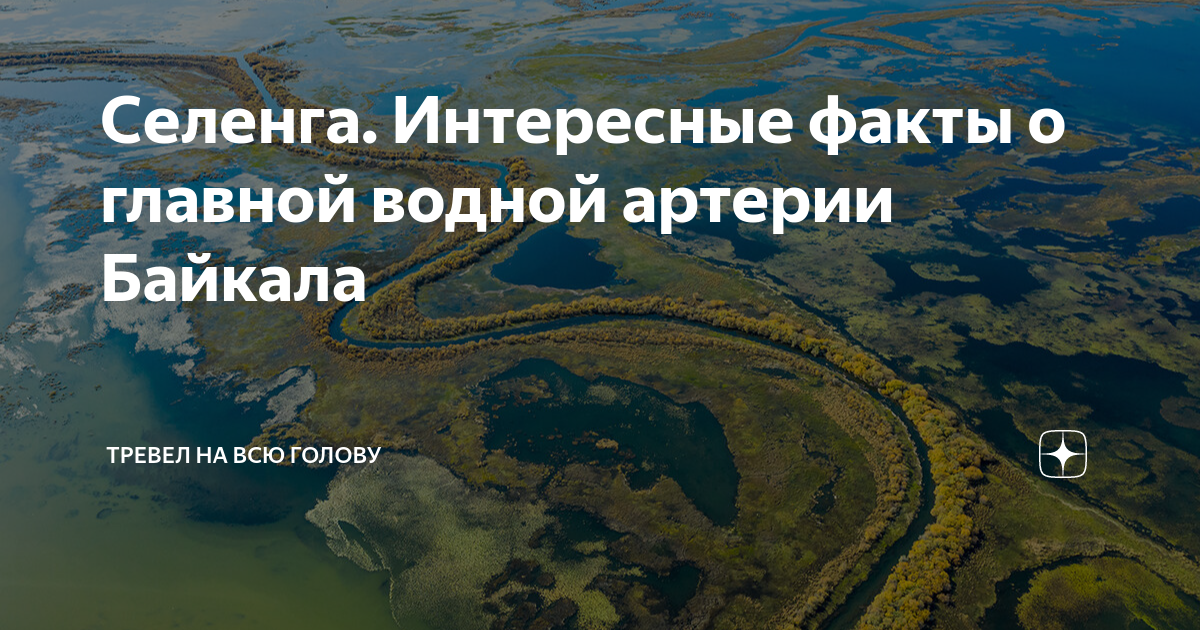 Водная артерия пиренеев 4 буквы. Интересные факты о Селенге. Факты о Селенге. Важнейшая водная артерия Татарстана. Водная артерия Дании.