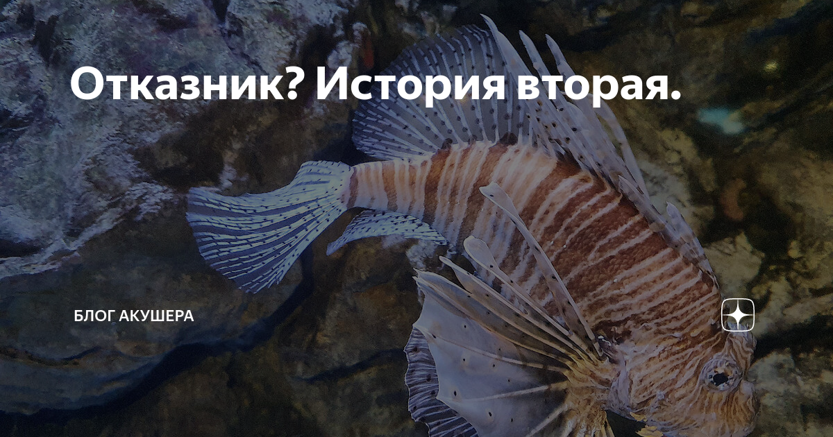 Отказник? История вторая. | Блог акушера | Дзен