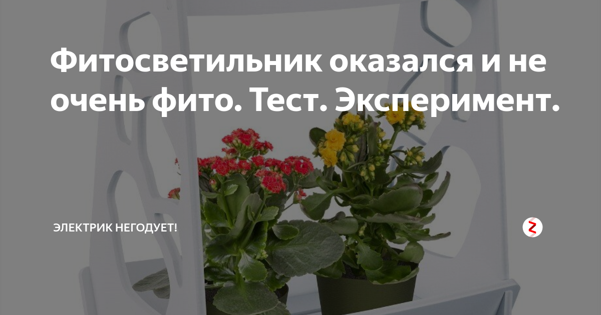Фитосветильник оказался и не очень фито. Тест. Эксперимент. | Электрик ...