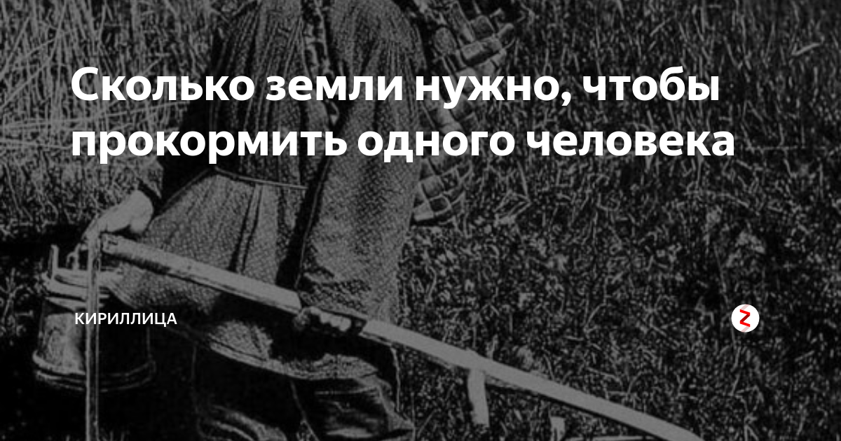 Поль нужен. Сколько земли нужно чтобы прокормить 1 человека. Сколько земли нужно человеку чтобы прокормить. Сколько человек нужно прокормить с гектара земли. Сколько способна прокормить земля
