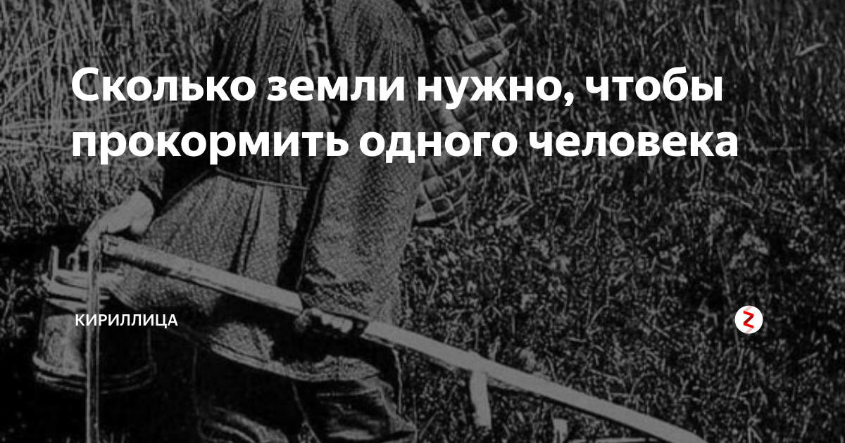 Сколько земли надо человеку. Сколько земли нужно чтобы прокормить 1 человека. Сколько земли нужно человеку чтобы прокормить. Сколько человеку нужно земли. Сколько человек нужно прокормить с гектара земли.