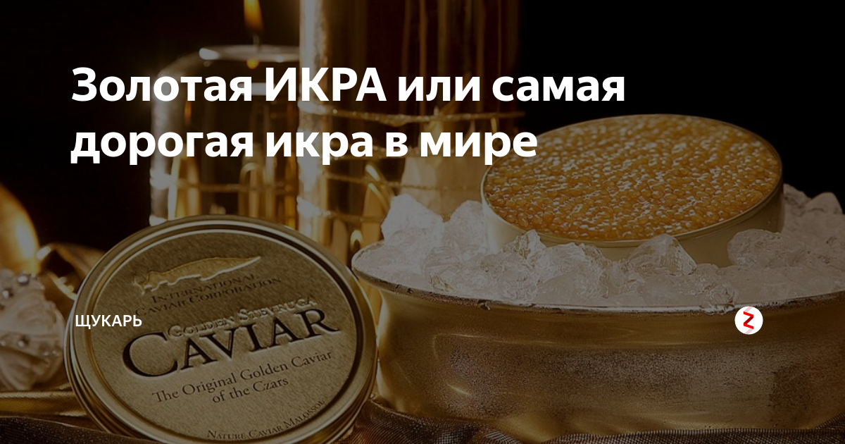 у какой рыбы самая дорогая икра. самая дорогая икра. алмазная икра белуги альбиноса. икра осетра альбиноса. икра осетра альбиноса.