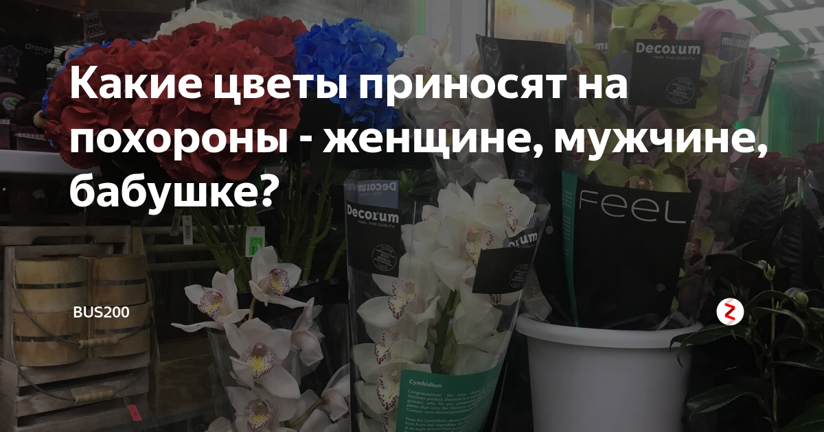 Какие цветы приносят на похороны. Какие цветы можно на похороны. Какие цветы приносят на похороны женщине. Цветы на похороны женщине пожилой. Какие цветы на похороны мужчине пожилому приносят.