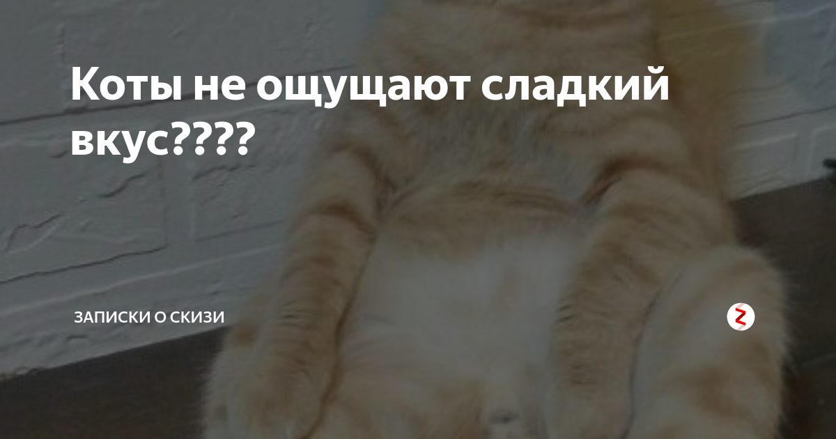 Не ощущаю сладкое. Не ощущаю сладкое