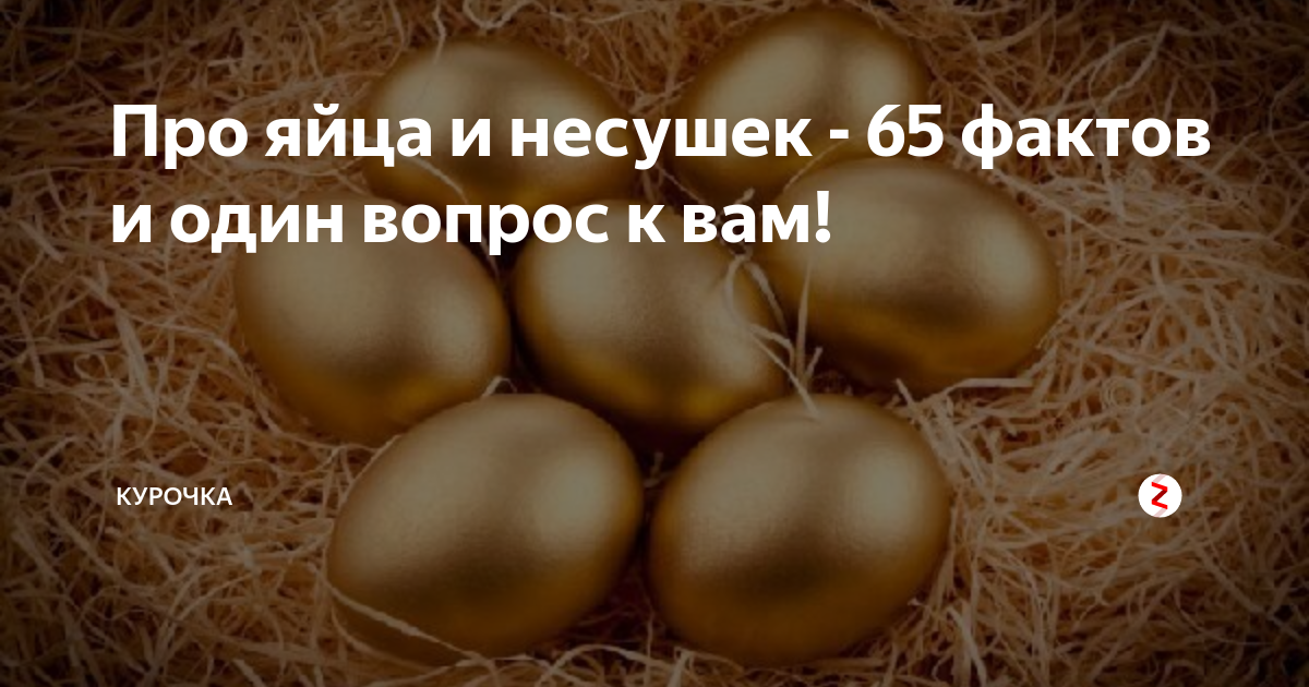 Мы всю жизнь делали это неправильно: для кого вредны яйца и как их нужно есть