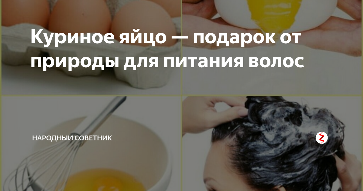 Как мыть волосы яйцом. Как мыть волосы яйцом