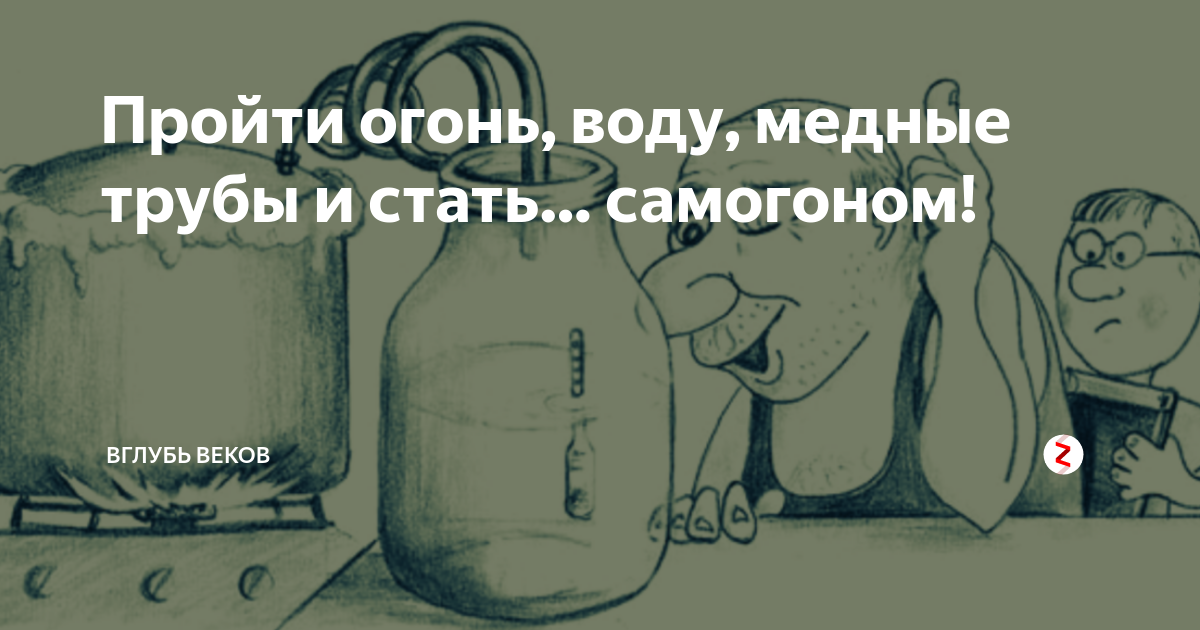 Прошел огонь воду и медные трубы да попал к черту в зубы