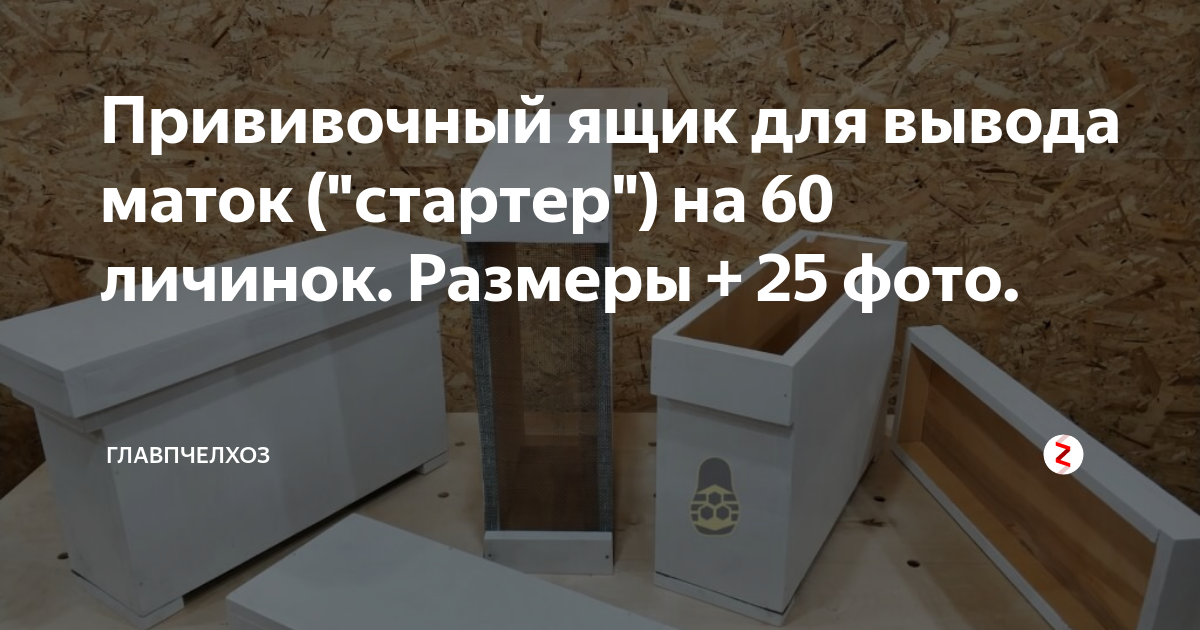 Стартер для вывода маток купить