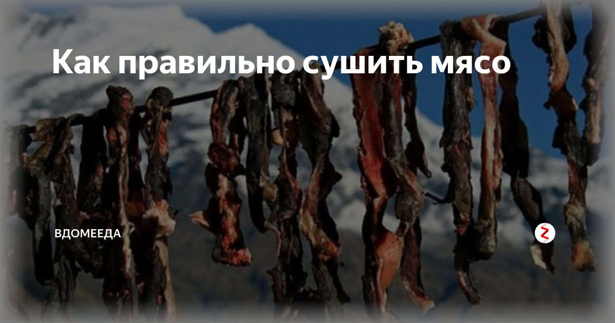 как сушить мясо в сушилке для собак