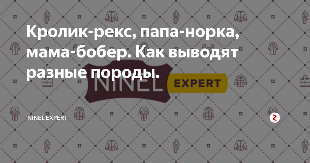 Кролик-рекс, папа-норка, мама-бобер. Как выводят разные породы. | NINEL ...