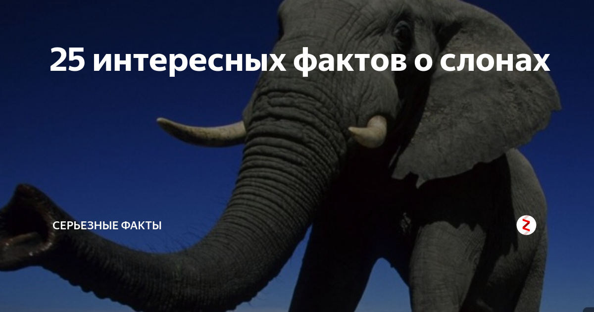 Задумчивый бизнесмен. Серьезный факт. Серьезный факт. Серьезный факт. Серьезный факт.