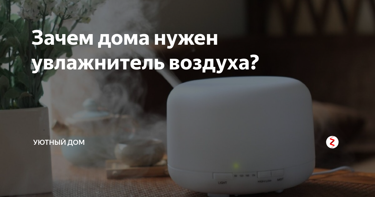Зачем дома нужен увлажнитель воздуха? | Уютный Дом | Дзен