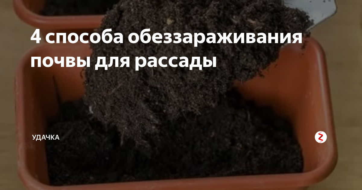 обеззараживание почвы для рассады