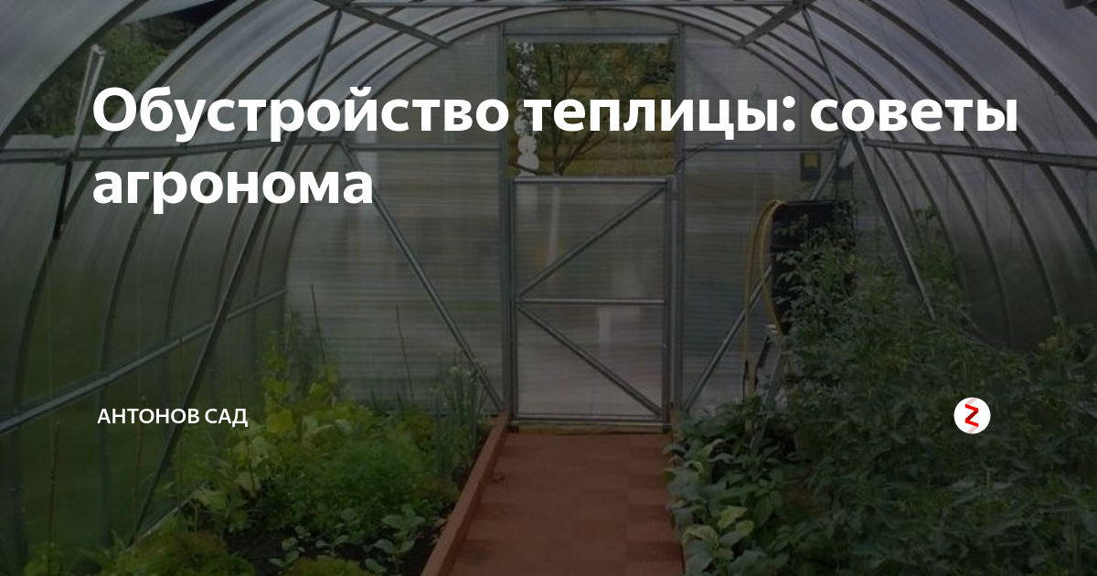 Обустройство теплицы: советы агронома | Антонов сад - дача и огород | Дзен