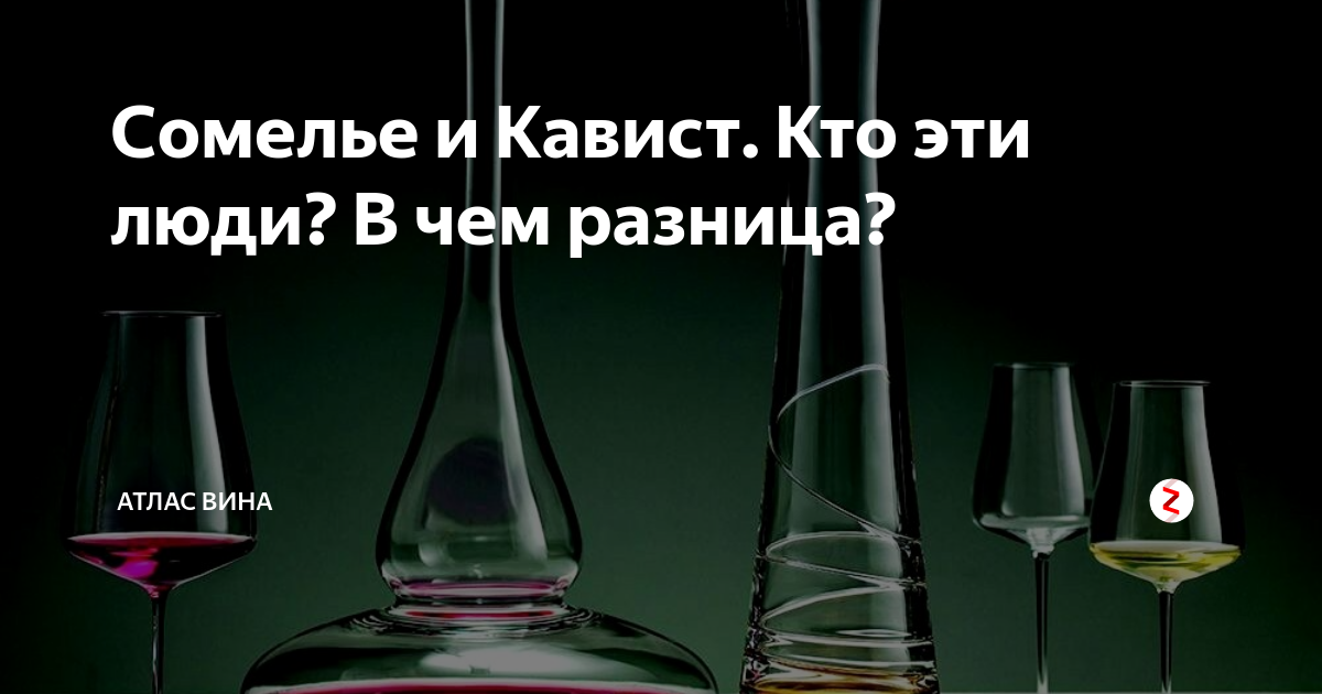 Сомелье кавист. Кавист это кто. Профессия сомелье. Кависта и сомелье разница.