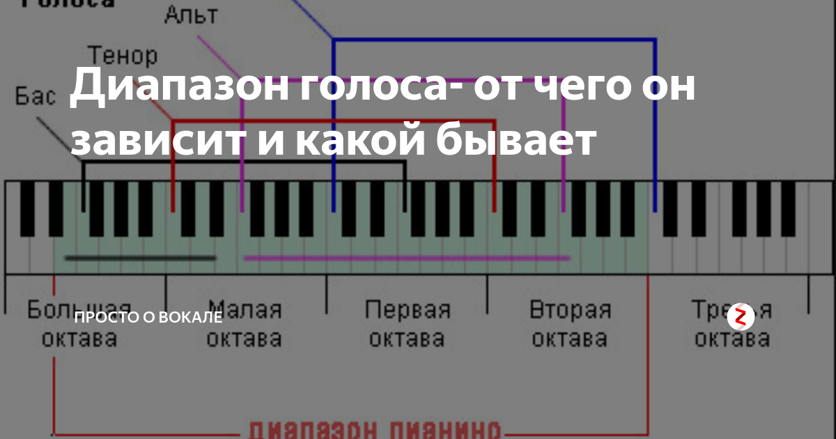 Б диапазон. Диапазон тенора и баритона. Альт или тенор голос диапазон. Диапазон женских голосов. Диапазон голосов по октавам.