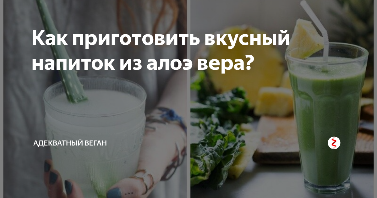 Как приготовить вкусный напиток из алоэ вера? | Адекватный веган | Дзен