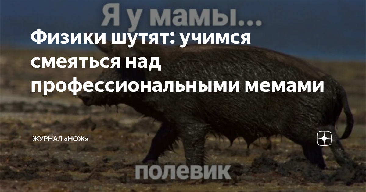 Физики шутят: учимся смеяться над профессиональными мемами | Журнал ...