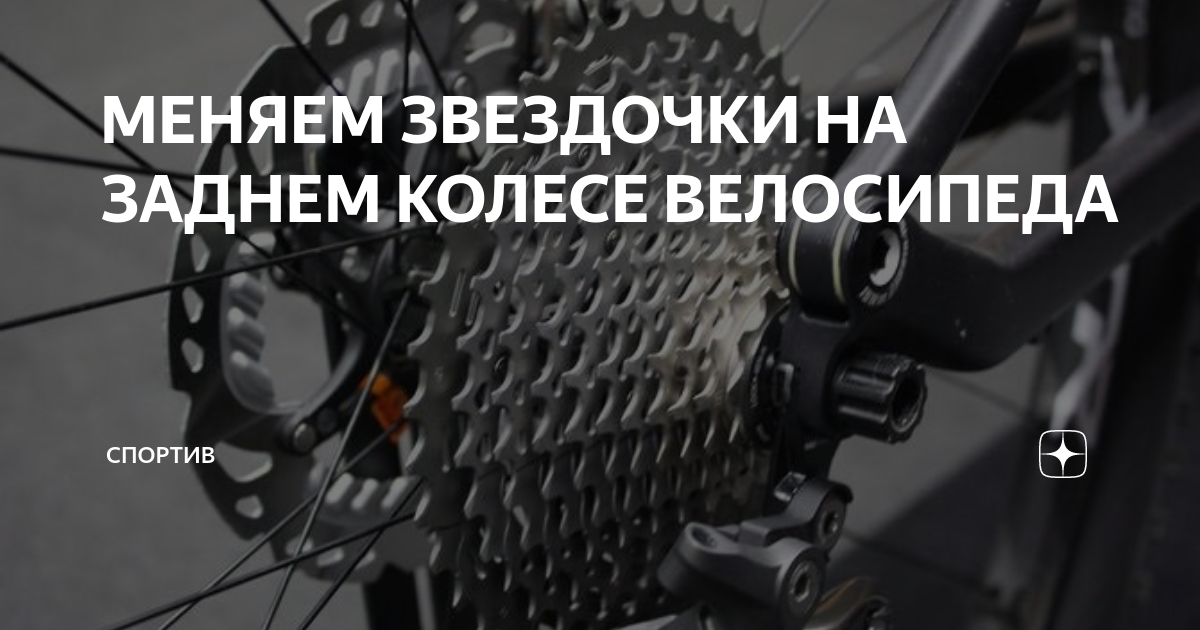 Трещотка вело 7 скоростей 14-28 Shunfeng купить по цене 792 ₽ в интернет-магазин