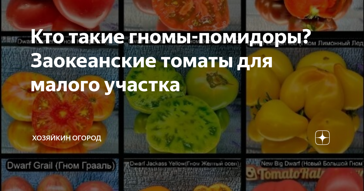 Томат москвич пасынковать