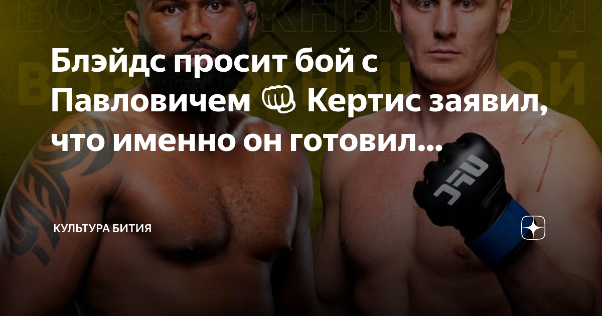 Бойцы UFC мужчины русские. Как выглядит титул борьбы.