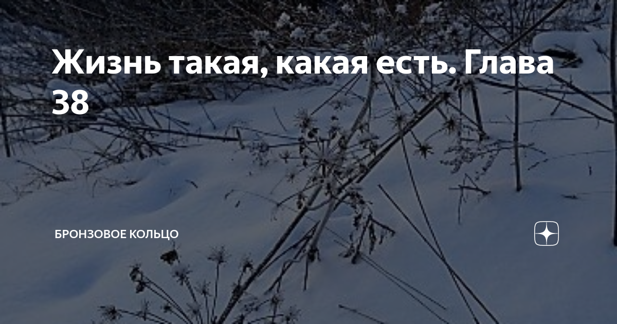 Жизнь такая, какая есть. Глава 38 | Бронзовое кольцо | Дзен