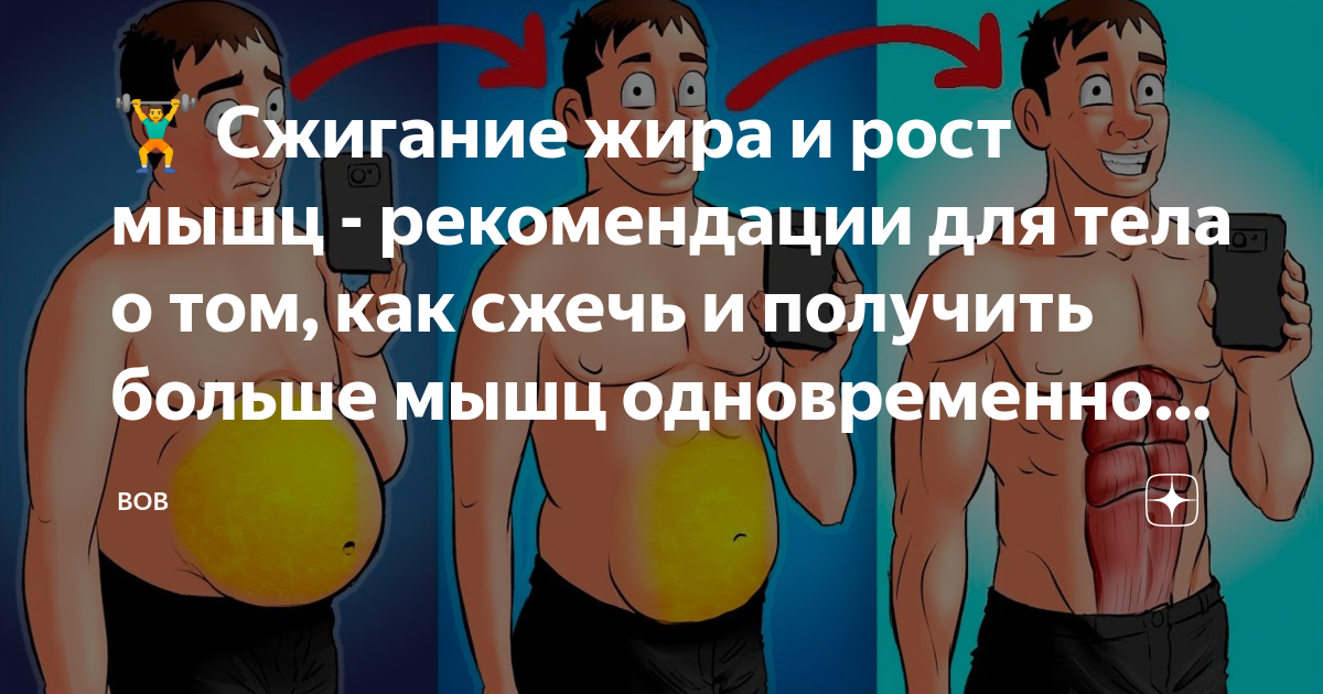 Как сжигать жир а не мышцы. Как сжигать жир а не мышцы