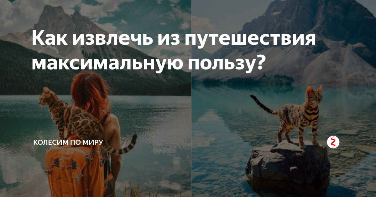 Поведение потребителей. Практицизм. Автомобиль оракул. Стремление извлечь максимальную пользу. Опорные и параметрические скважины.