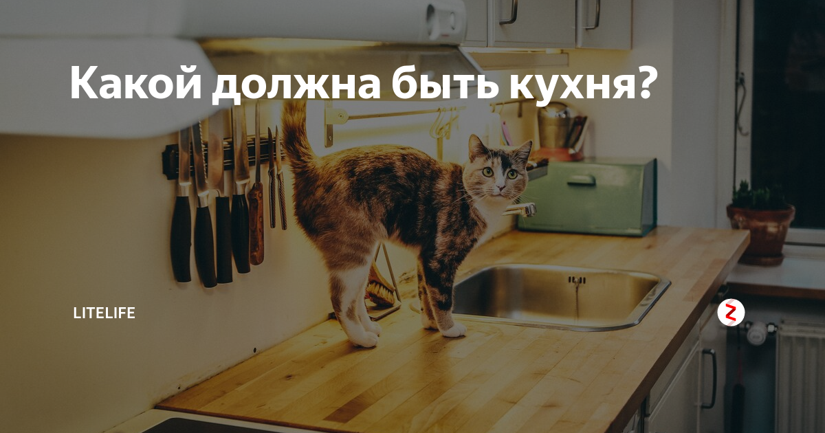 Как отучить кота залазить на кухонный стол