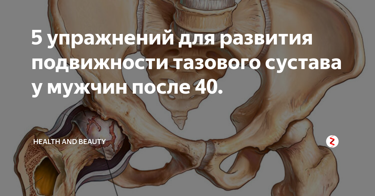 5 упражнений для развития подвижности тазового сустава у мужчин после ...