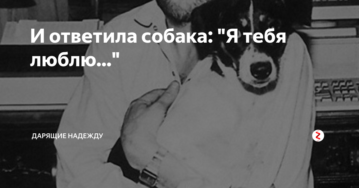 Подарите мне собаку. У меня была собака я ее любил. Собачка дарит надежду. И ответила собака я тебя люблю.