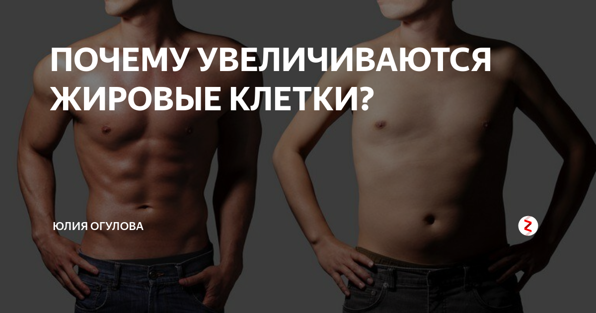 Почему увеличен. Почему со увеличивает человека. Какие гормоны виноваты в наборе веса у мужчин