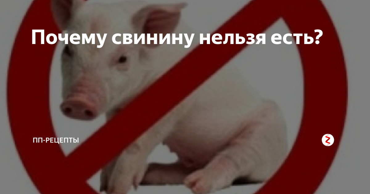 Почему нельзя есть свинину. Свинина почему нельзя есть. Почему свинина запрещена. Почему запрещено есть свинину. Почему свинина грязное